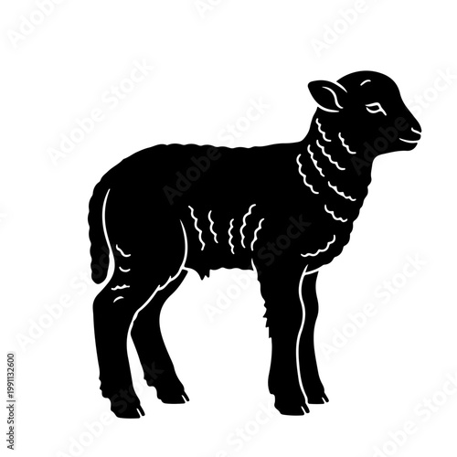 vector art of baby goat 