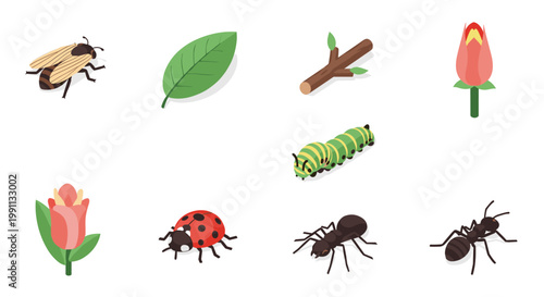 Nature icons: insects, leaves, flowers, and branch in isometric style