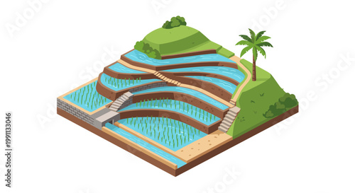 Isometric rice terraces landscape with waterfalls and palm trees