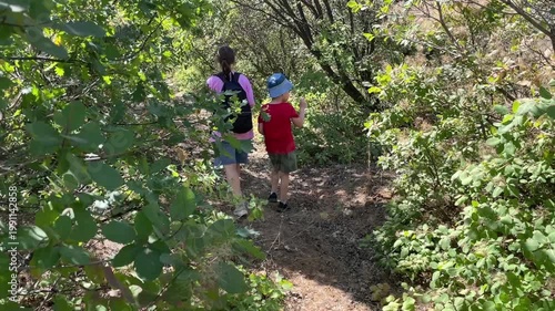 Adventurers navigate wilderness, Travelers go deep into woods, Hikers traverse thick green forests, Adventurers set out to discover and navigate through lush verdant forest landscapes