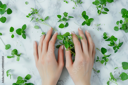 Sprouted greens, hands take care them