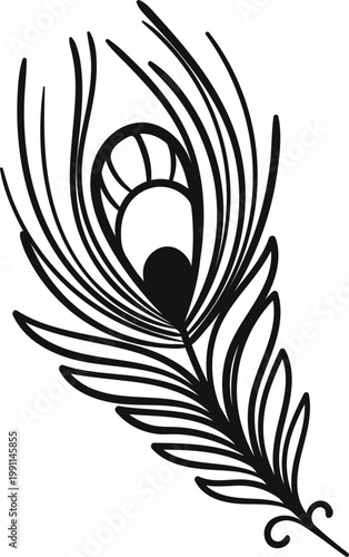 Hand Drawn Doodle Peacock Feather Line Art, Vector Black Minimal,Decorative Clipart Element