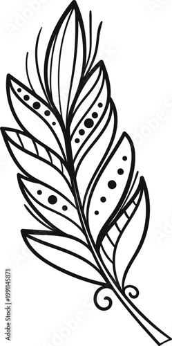 Doodle Pheasant Feather Outline, Hand Drawn Line Art Vector, Black Minimal Decorative Clipart Element