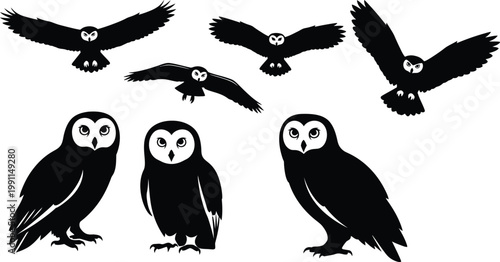 A group of owl silhouettes flying and perched on a white background