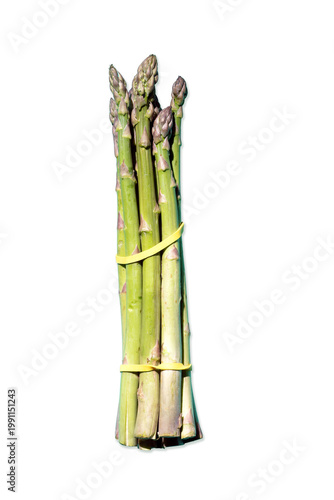 Fresh asparagus bunch isolated white background. Green raw vegetable stalks tied with rubber bands for healthy food marketing and culinary concepts