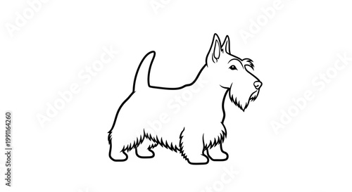 Bold vector silhouette of a Scottish terrier in its characteristic stance. transparent.