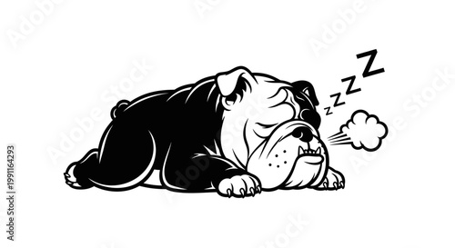 Humorous vector outline of an English bulldog comically snoring asleep. transparent.