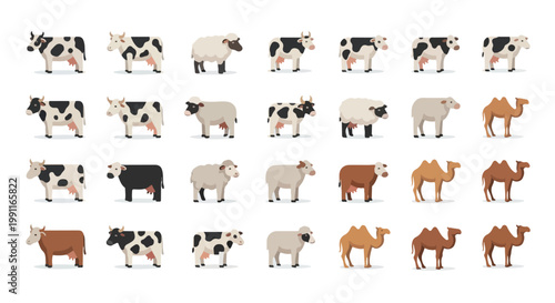 Eid Al Adha animal collection featuring cows sheep and camels in flat design style for Islamic holiday celebration