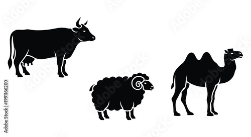 Eid Al Adha sacrifice animals including cow, sheep, and camel silhouettes on white background