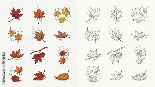 A collection of illustrations depicting maple leaves falling and swirling in the wind, shown in both color and outline.