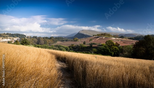 Antique Greek Orator