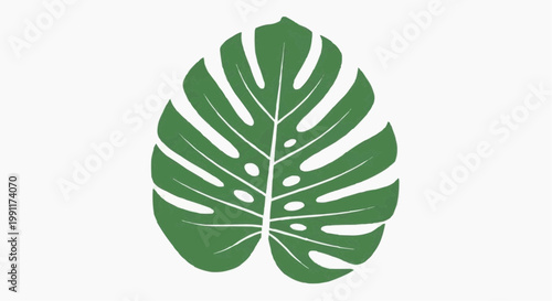 An elegant, simplistic graphic of a Monstera leaf, displaying a vibrant shade of green. The leaf features characteristic cutouts, perfectly rendered and ready for use