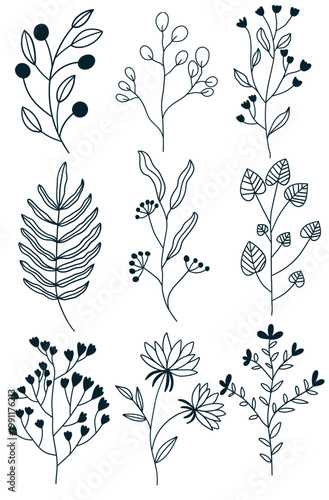 seamless floral pattern