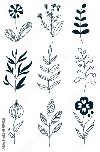 set of black and white feathers