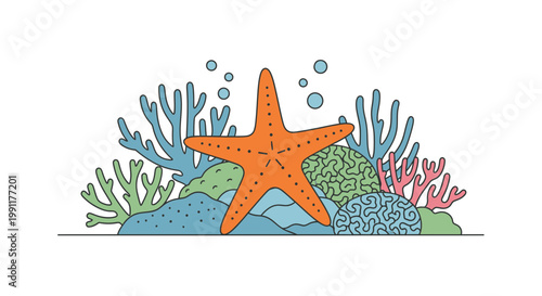 Orange starfish on coral reef 1.