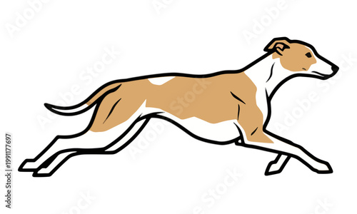 Running Greyhound Dog Vector Illustration Profile View