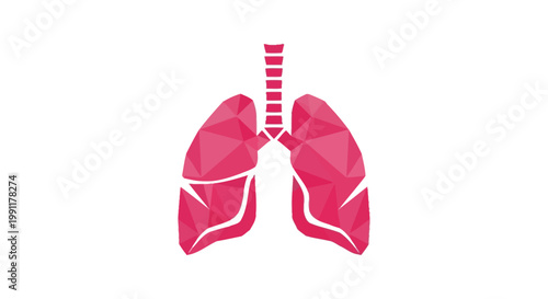 Anatomical Illustration of Human Lungs and Trachea.
