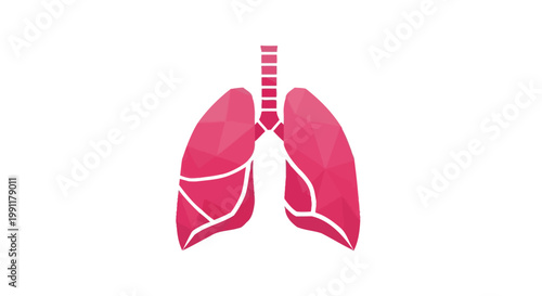 Illustration of Human Lungs Anatomy Medical Symbol.