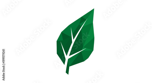 Vibrant Green Leaf Symbolizing Nature and Growth.