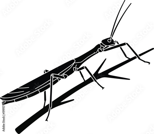 Black silhouette of a praying mantis perched on a twig.