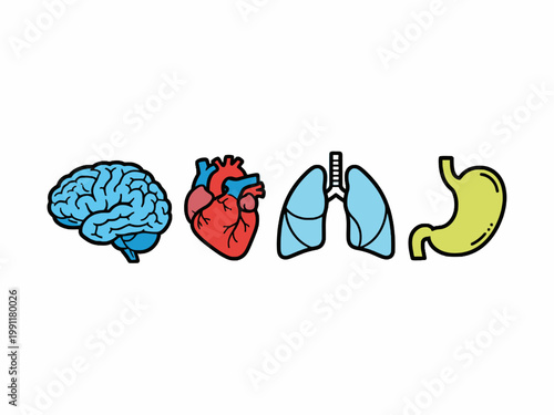 Human internal organ icons with brain heart lungs and stomach