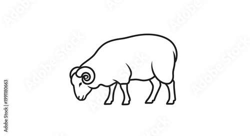 Simple line art illustration of a ram with curved horns, a male sheep grazing, in a minimalist black and white vector style.