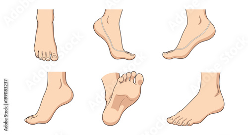 Various illustrations of human feet from different angles and positions