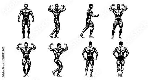 Muscular male bodybuilder poses collection isolated on white background demonstrating strength and athletic physique