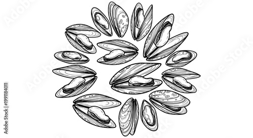 Hand drawn illustration of open and closed mussels arranged in a circular pattern isolated on a white background sketch