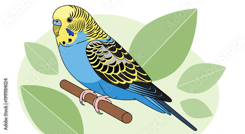 Vibrant blue and yellow budgerigar perched on a branch with soft green leaves and a circular background symbolizing