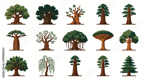 Large set of diverse tree species including pine baobab banyan dragon blood willow vector.