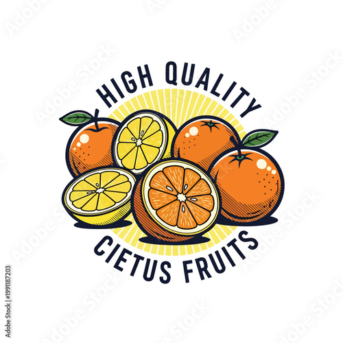 Fresh Orange Fruit Logo Illustration with Citrus Slices.