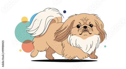 Fluffy tan Pekingese dog is captured in a walking pose with its long coat and regal expression on a white background.