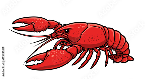 A vibrant red lobster on white background.
