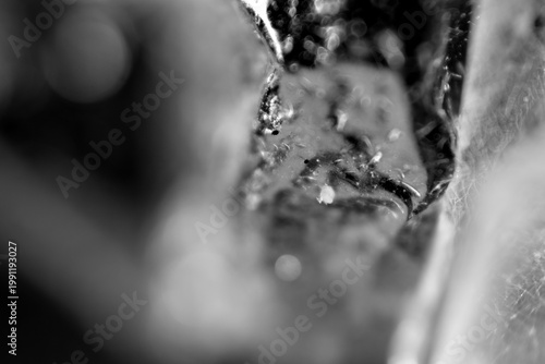 Macro texture of whiteheads and blackhead on peel off mask