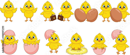 Cute Cartoon Chick Growth Stages with Egg Hatching Sequence, Adorable Baby Chicken Life Cycle for Kids Education and Spring Design