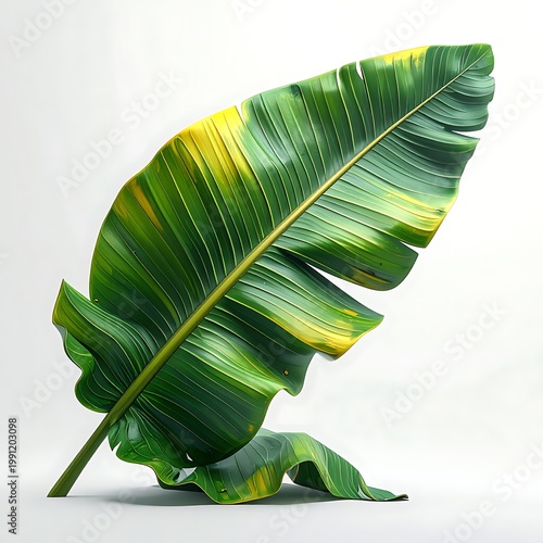 A large green leaf with yellow spots