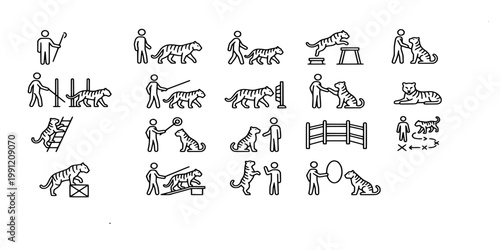 icon set collection of tiger training, circus performance, wild cat obedience, zookeeper interaction, big cat handling, and predator agility exercises in lines.