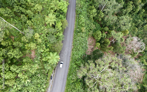 Top down aerial view of asphalt road cutting through dense green forest with vehicle