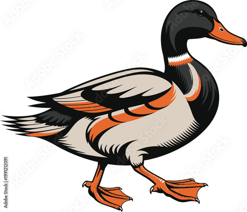 A colorful cartoon duck with orange beak and feet