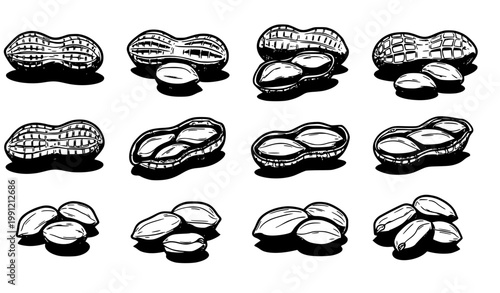 SEO Title
Hand drawn peanut set comic sketch peanuts in shell and shelled outline vector collection isolated on white background