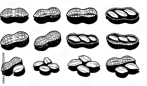 SEO Title
Hand drawn peanut set comic sketch peanuts in shell and shelled outline vector collection isolated on white background