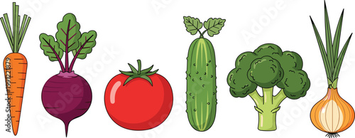 Hand drawn fresh vegetables set with carrot, beet, tomato, cucumber, broccoli and onion on white background illustration