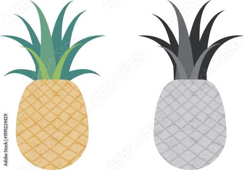 パイナップルのイラストセット（カラーと白黒）