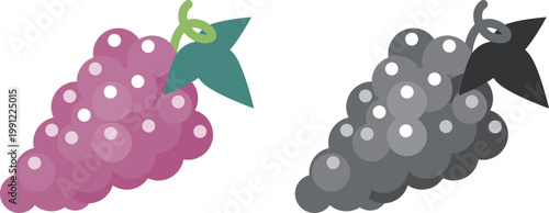 ぶどうのイラストセット（カラーと白黒）