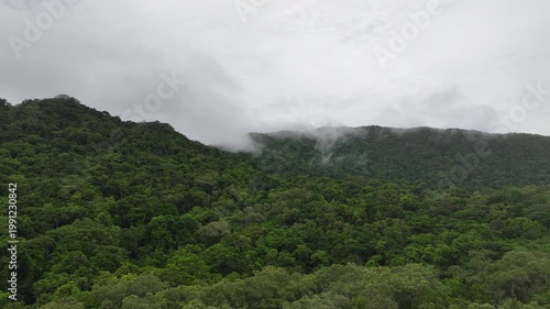 Cape Tribulation Australia on a cloudy day, Rainforest views