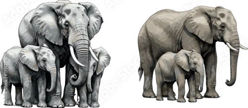 Obraz 
African Elephant Family Group with Baby Calves Sketch and Colored Style Wild Animal Vector Illustration Set