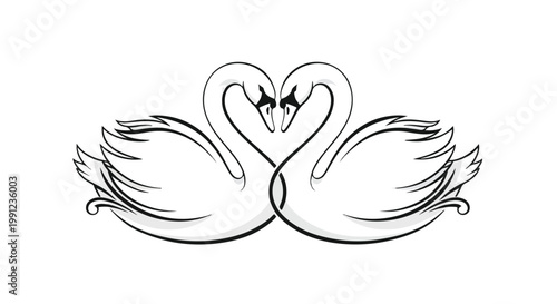 Heart shaped swans, love birds, romantic vector icons, black and white illustration, couple animals