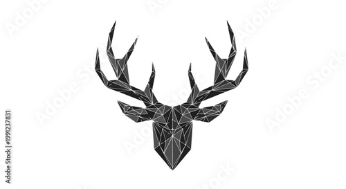 Fox head, orange fox face, vector illustration, graphic design element