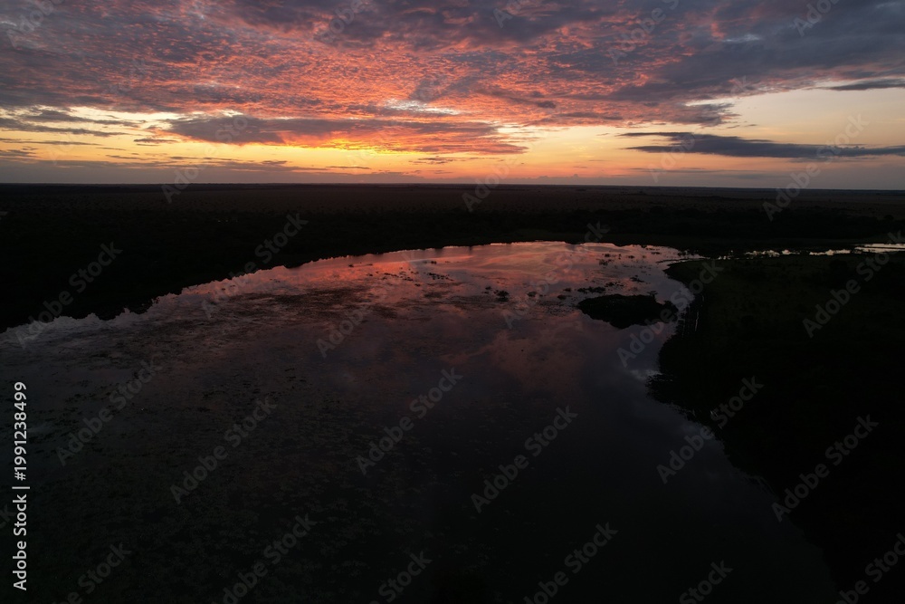Fototapeta premium Humedales del Beni Bolivia, en la amazonia